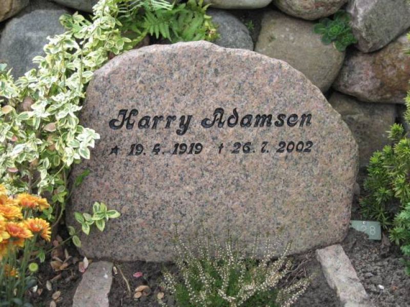 Harry Adamsen.jpg